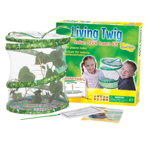 Insect Lore Living Twig Growing Kit